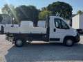 Fiat Ducato 33 2.3 MJT 130CV PM CABINATO Bianco - thumbnail 6