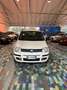 Fiat Panda Panda 1.4 natural power Active UNICO PROPRIETARIO Blanc - thumbnail 2