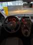 Fiat Panda Panda 1.4 natural power Active UNICO PROPRIETARIO Blanc - thumbnail 14
