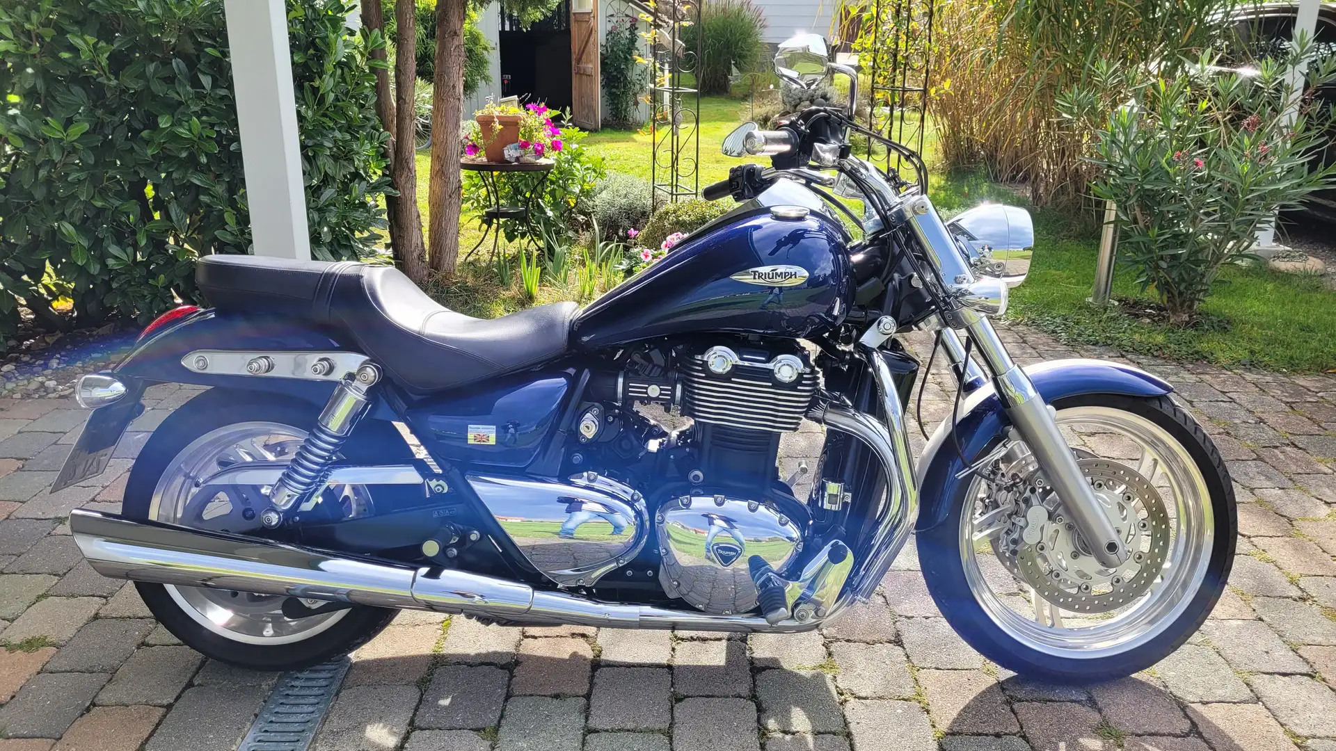 Triumph Thunderbird 6T Thunderbird 1600, B16BA Синій - 2