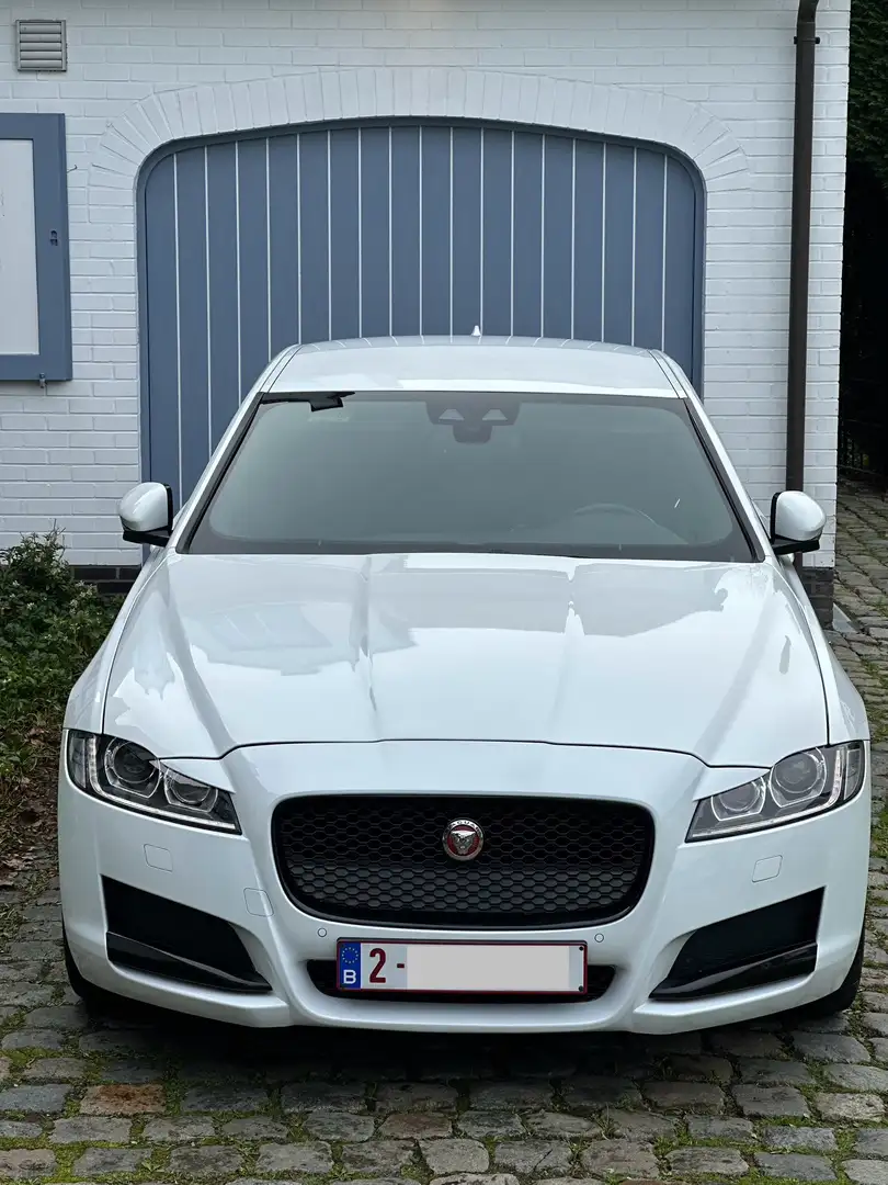 Jaguar XF 2.0 D E-Performance Portfolio (EU6.2) - 2