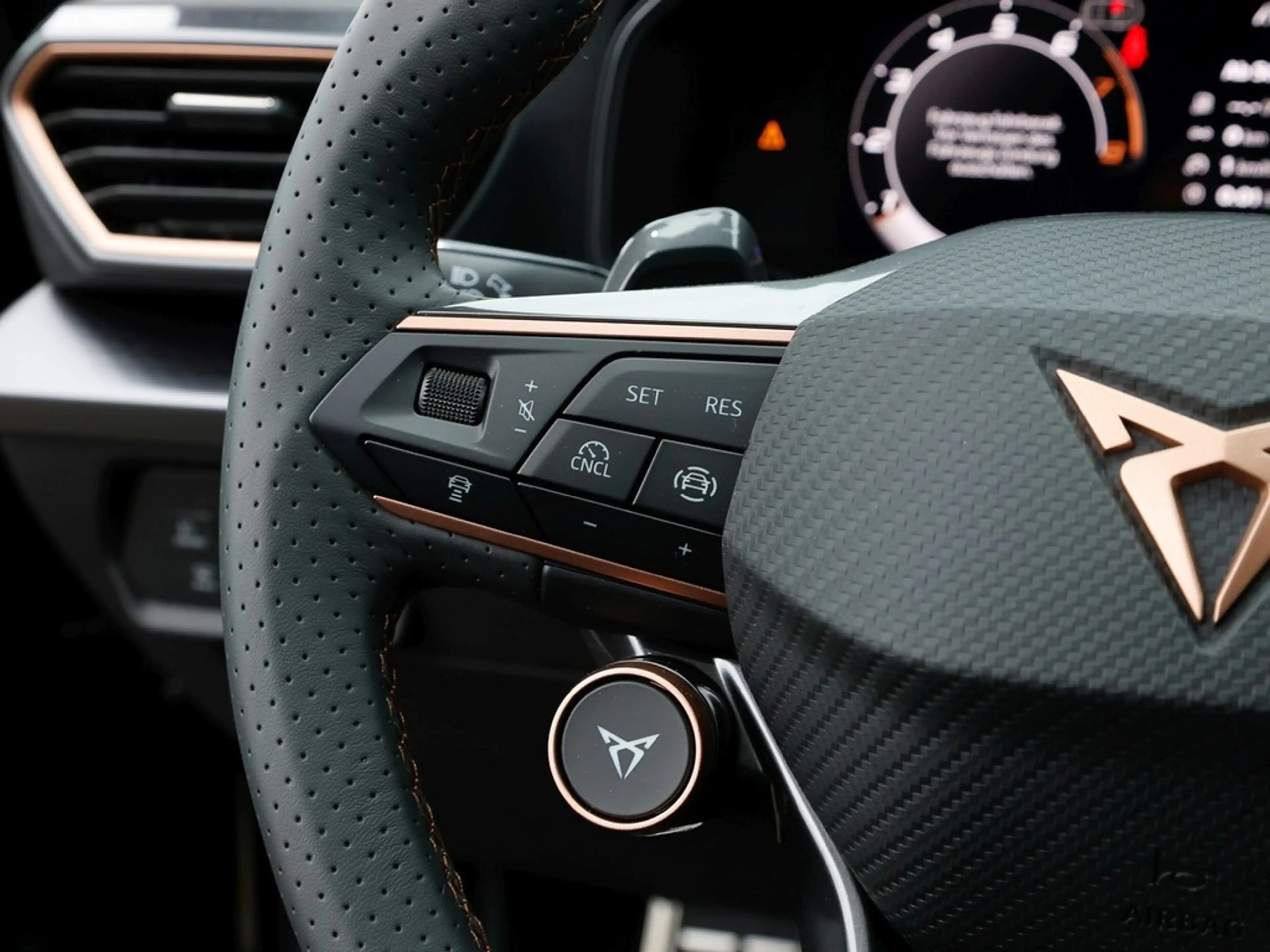 CUPRA Formentor VZ 2.0 TSI 195kW/265PS 7-Gang-DSG — photo 15