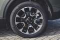 Ford Kuga Kuga 2.5 Full Hybrid 180 CV CVT 2WD Active X Verde - thumbnail 6
