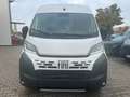 Fiat Ducato KAWA 35 L2H2 140 Multijet AHK, Kamera sofor Wit - thumbnail 2