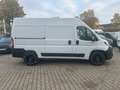 Fiat Ducato KAWA 35 L2H2 140 Multijet AHK, Kamera sofor Wit - thumbnail 3