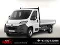 Opel Movano Pritsche 35+ L3 AppleC Kam 103 kW (140 PS), Sch... Weiß - thumbnail 1