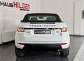 Land Rover Range Rover Evoque Cabrio HSE Dynamic*R.Kam*Navi Blanc - thumbnail 10