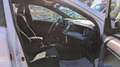 Toyota RAV 4 HYBRID 2WD DYNAMIC 2.5cc 155cv 360 CAMERA Bianco - thumbnail 14
