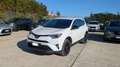 Toyota RAV 4 HYBRID 2WD DYNAMIC 2.5cc 155cv 360 CAMERA Bianco - thumbnail 1