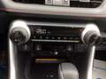 Toyota RAV 4 Plug-in-Hybrid Technik-Paket Сірий - thumbnail 11