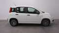 Fiat Panda 0.9 TwinAir Young Wit - thumbnail 5