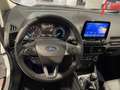 Ford EcoSport 1.0 EcoBoost 125 CV Start&Stop Active Weiß - thumbnail 11