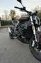 Benelli 502C turismo e naked - thumbnail 2