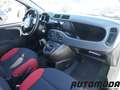 Fiat Panda VAN 1.2 69CV 2 posti Bianco - thumbnail 11