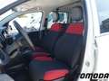 Fiat Panda VAN 1.2 69CV 2 posti Bianco - thumbnail 8