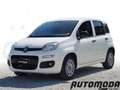 Fiat Panda VAN 1.2 69CV 2 posti Bianco - thumbnail 1