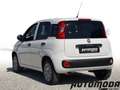Fiat Panda VAN 1.2 69CV 2 posti Bianco - thumbnail 6