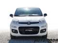 Fiat Panda VAN 1.2 69CV 2 posti Bianco - thumbnail 2