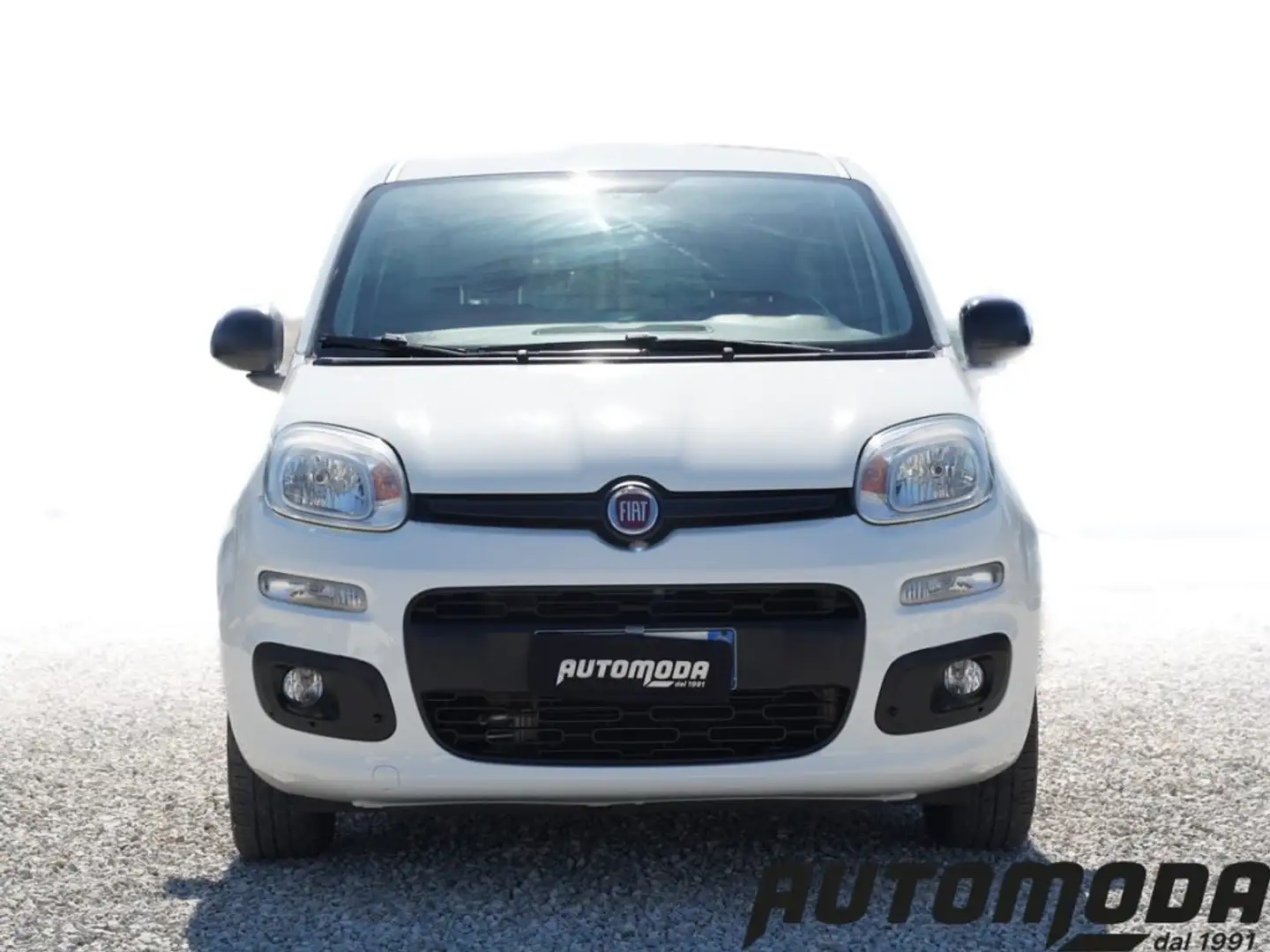 Fiat Panda VAN 1.2 69CV 2 posti Bianco - 2