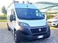 Fiat Ducato 2.3 MJT 140CV 35 H2-L2 EURO 6/D - ATTREZZATO Bianco - thumbnail 4