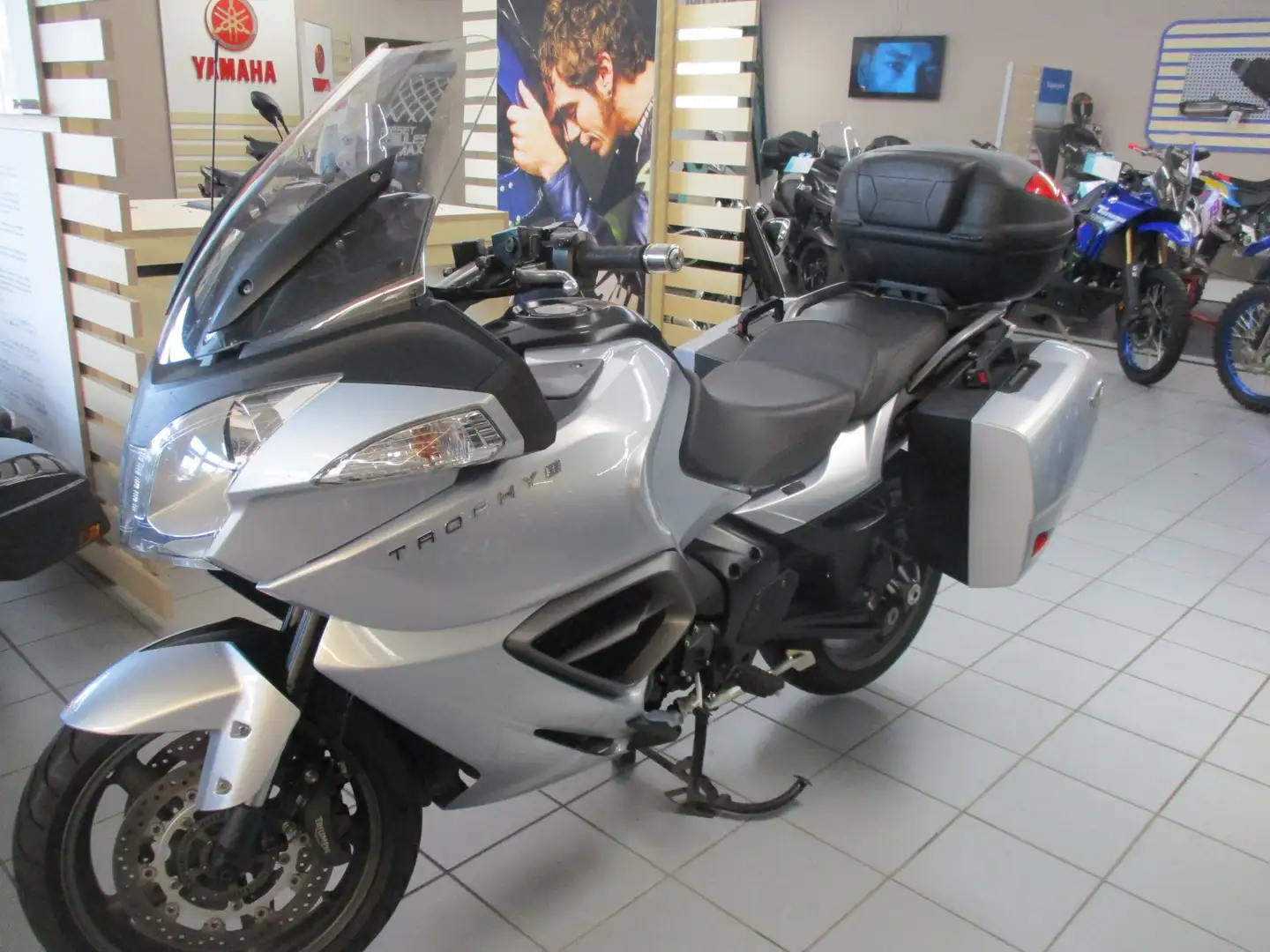 Triumph Trophy Gris - 1