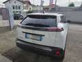 Peugeot 2008 ALLURE 100 CV KM/0 NESSUN OBBLIGO FINANZIARIO !!! Alb - thumbnail 4