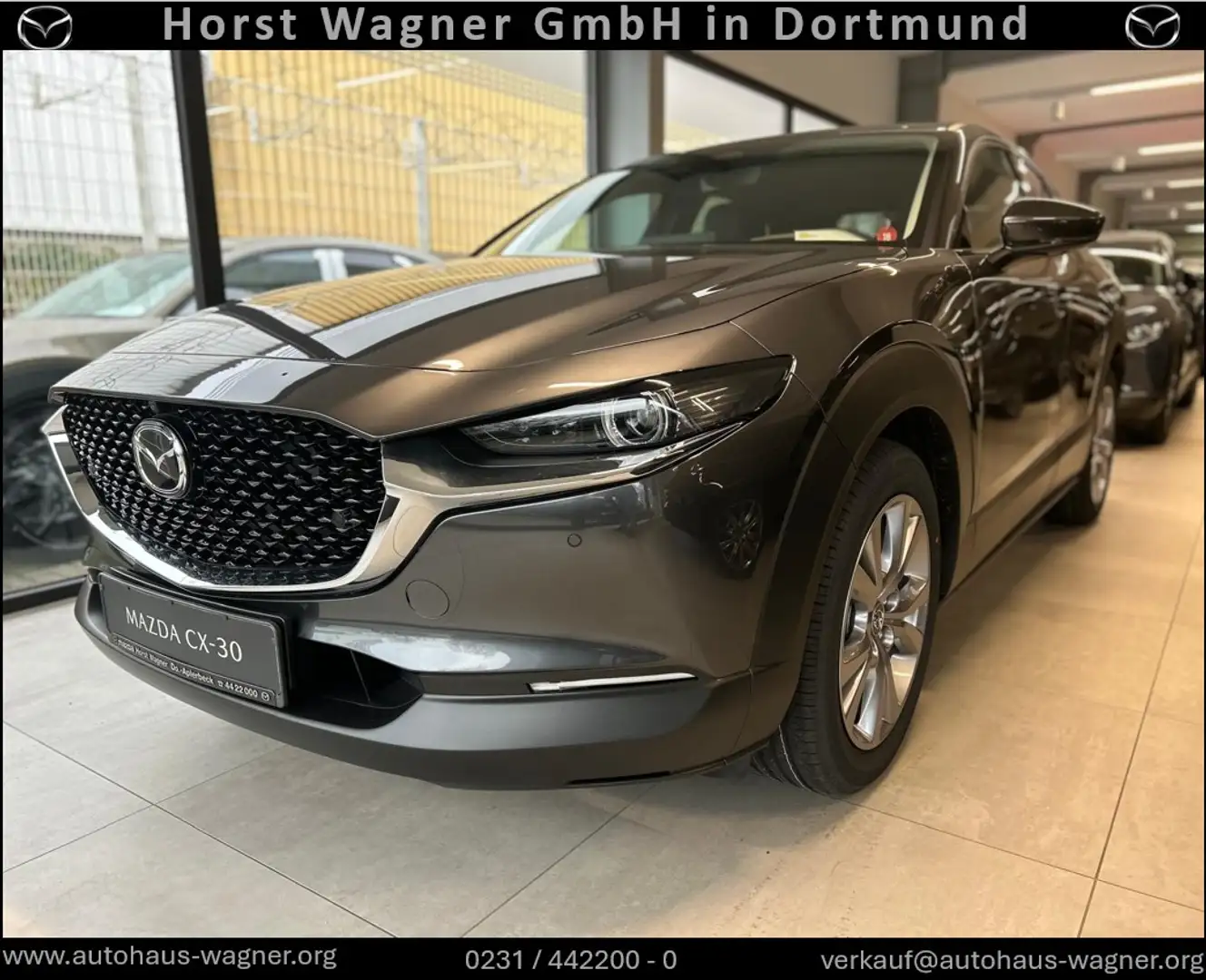 Mazda CX-30 Takumi X 186 PS *Leder*GSD*Bose*Neuwagen* Grau - 1