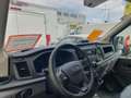 Ford Transit L2/H2 NETTO 15.800.- Ohne Anzahlung  429.- monat. Weiß - thumbnail 7