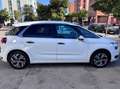 Citroen C4 Picasso C4 Picasso 1.6e-HDi Intensive 115 Intensive Blanco - thumbnail 9