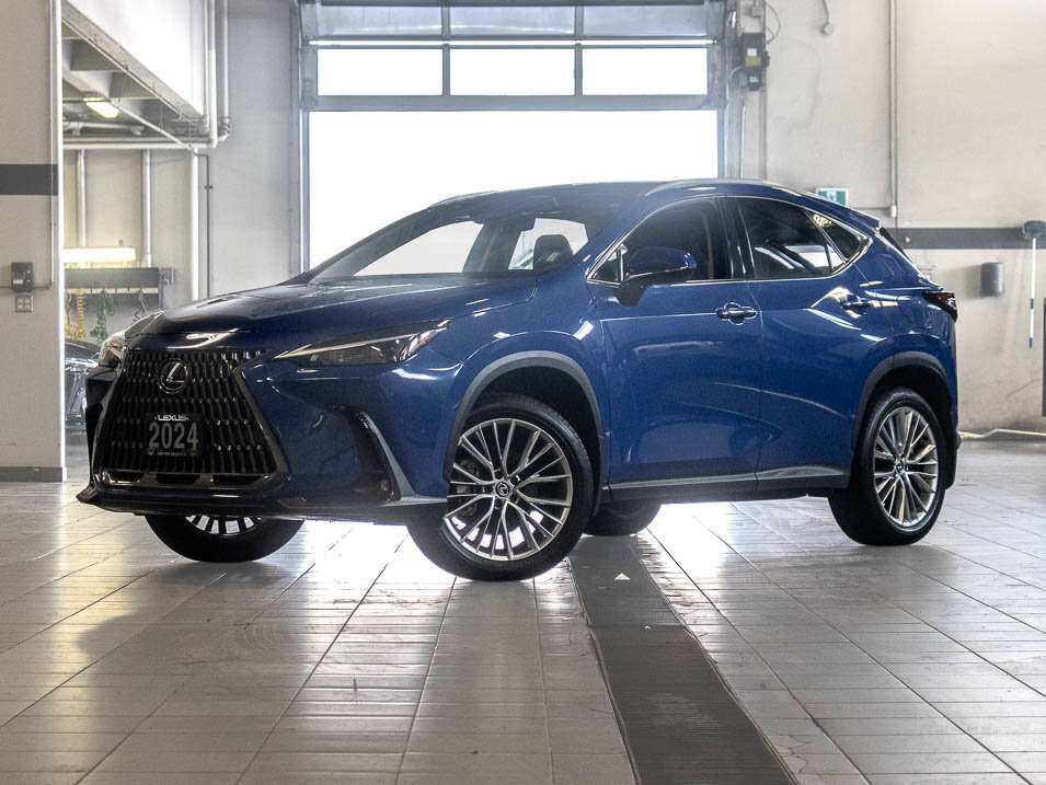2024 Lexus NX Luxury