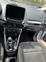 Ford EcoSport 1.5 tdci Plus awd s&s 125cv - thumbnail 6