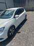 Nissan Pulsar 1.5 dci Business 110cv E6 - thumbnail 4