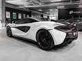 McLaren 570S 570S/V8/AKRAPOVIC  LIFT/ MALUS Paye/Ceramic/Camer Alb - thumbnail 5