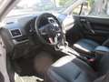 Subaru Forester 2,0i Platinum, Leder, Navi, AHK Weiß - thumbnail 7