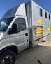 Iveco Daily Trasporto 3 Cavalli Patente B Grau - thumbnail 1