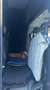 Iveco Daily Trasporto 3 Cavalli Patente B Grau - thumbnail 11