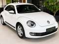 Volkswagen Beetle PDC Tempomat Klimaautomatik Weiß - thumbnail 3