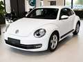 Volkswagen Beetle PDC Tempomat Klimaautomatik Weiß - thumbnail 2