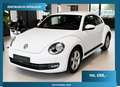 Volkswagen Beetle PDC Tempomat Klimaautomatik Weiß - thumbnail 1