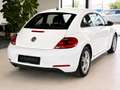 Volkswagen Beetle PDC Tempomat Klimaautomatik Weiß - thumbnail 4