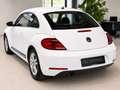 Volkswagen Beetle PDC Tempomat Klimaautomatik Weiß - thumbnail 5