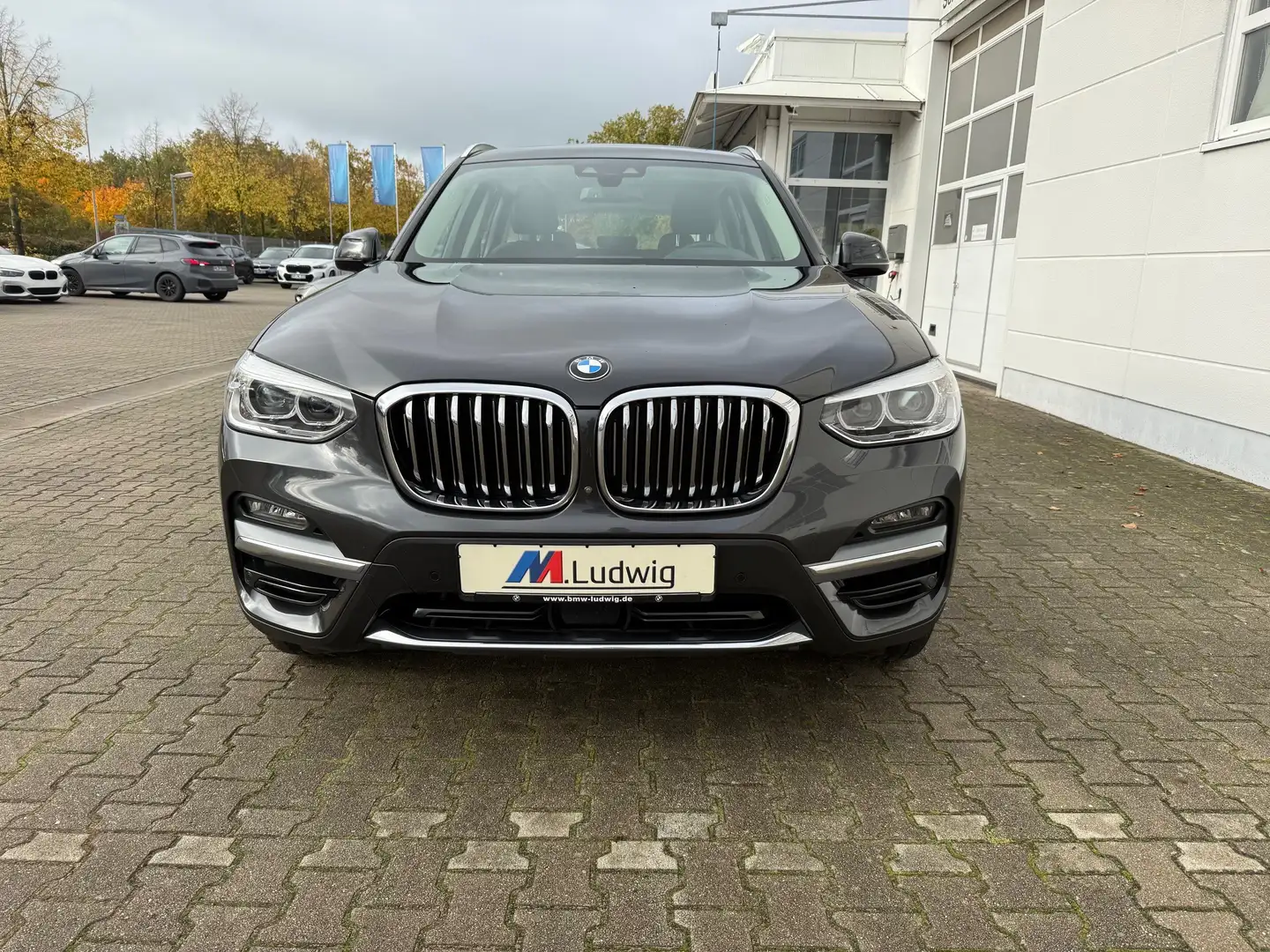 BMW X3 xDrive30d Luxury Line Head-Up HiFi DAB LED Grau - 2