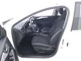 Ford Focus SW Business 1.5 Diesel 120CV Bianco - thumbnail 10