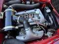 Alfa Romeo Giulietta SPRINT SPECIALE 1.300 Rot - thumbnail 14