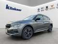 Skoda Kamiq 1.0 TSI Monte Carlo LED, AHK Grau - thumbnail 1