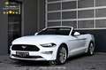 Ford Mustang 2.3 EcoBoost EXP € 27.067,- Weiß - thumbnail 1