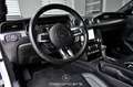 Ford Mustang 2.3 EcoBoost EXP € 27.483,- Weiß - thumbnail 17