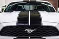 Ford Mustang 2.3L Ecoboost Blanco - thumbnail 7