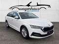 Skoda Octavia Combi 2,0 TDI Business DSG, AHV, APP, Sitzheizung Weiß - thumbnail 4