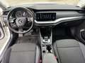Skoda Octavia Combi 2,0 TDI Business DSG, AHV, APP, Sitzheizung Weiß - thumbnail 8